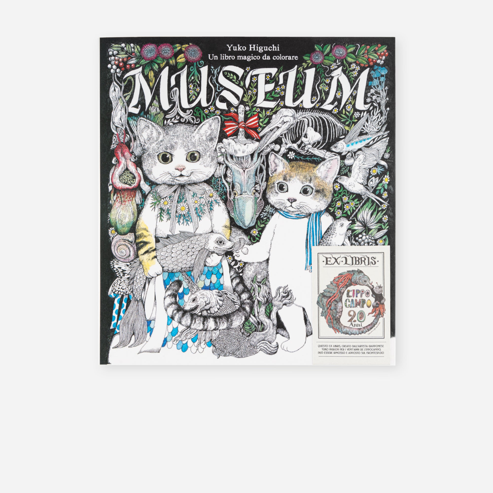 Museum - A magical coloring book