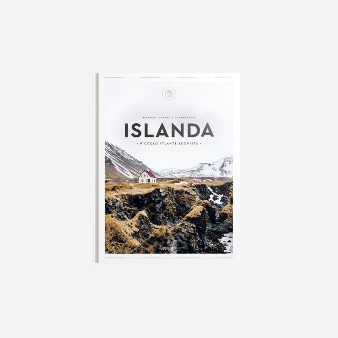 ICELAND - Small hedonistic atlas