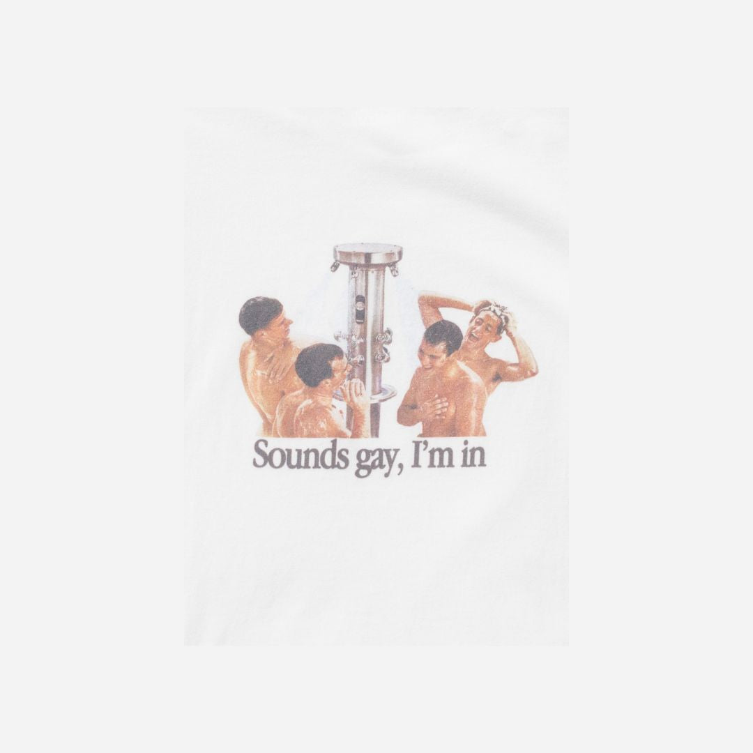 Sounds Gay I'm In T-shirt