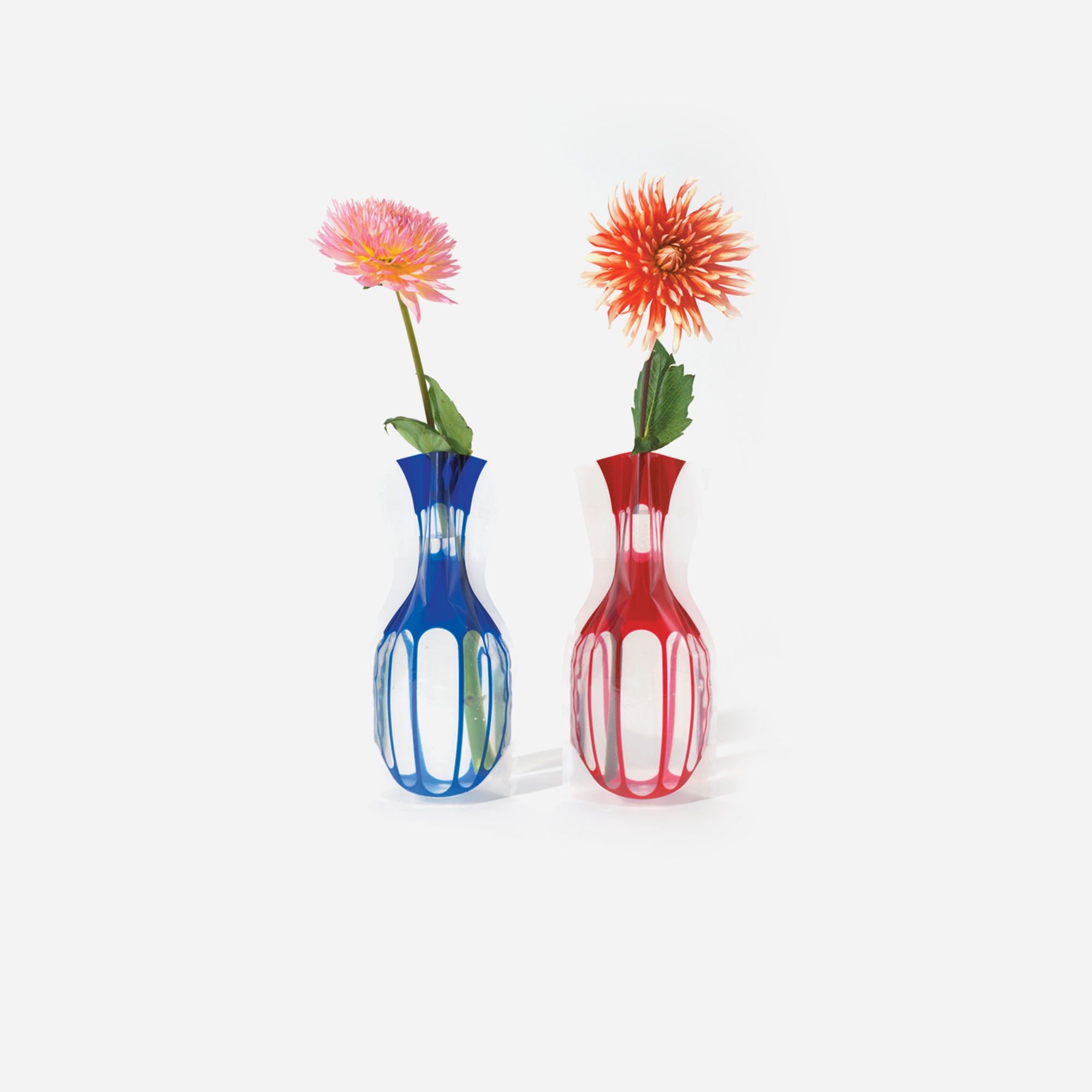 D-Bros Flower Vase Blu - Red 805F-B/R