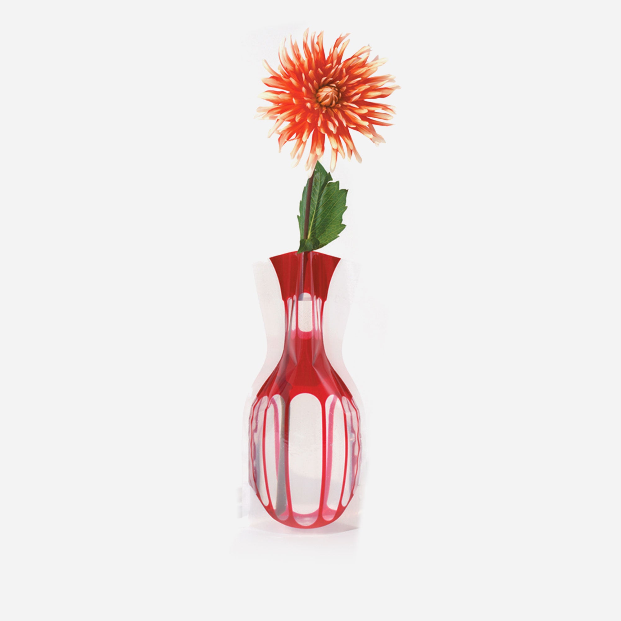 D-Bros Flower Vase Blu - Red 805F-B/R