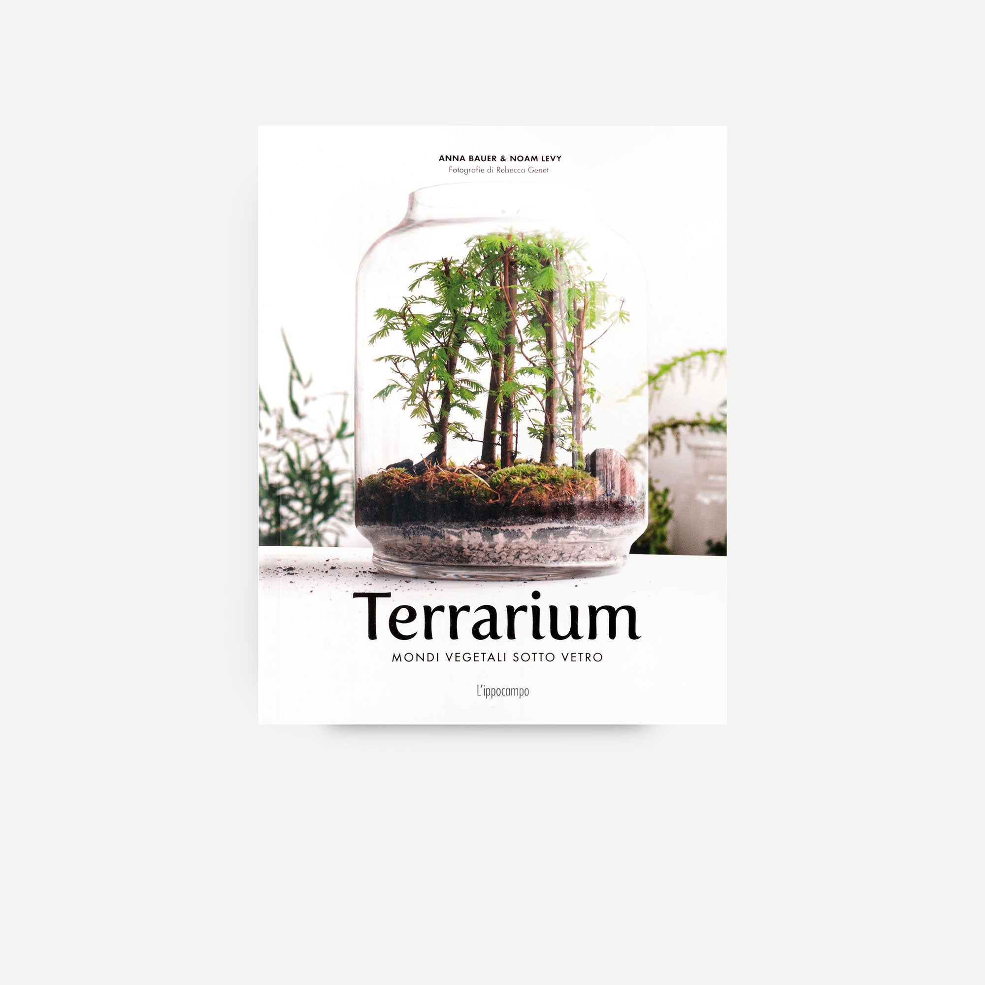 Terrarium - Mondi vegetali sotto vetro